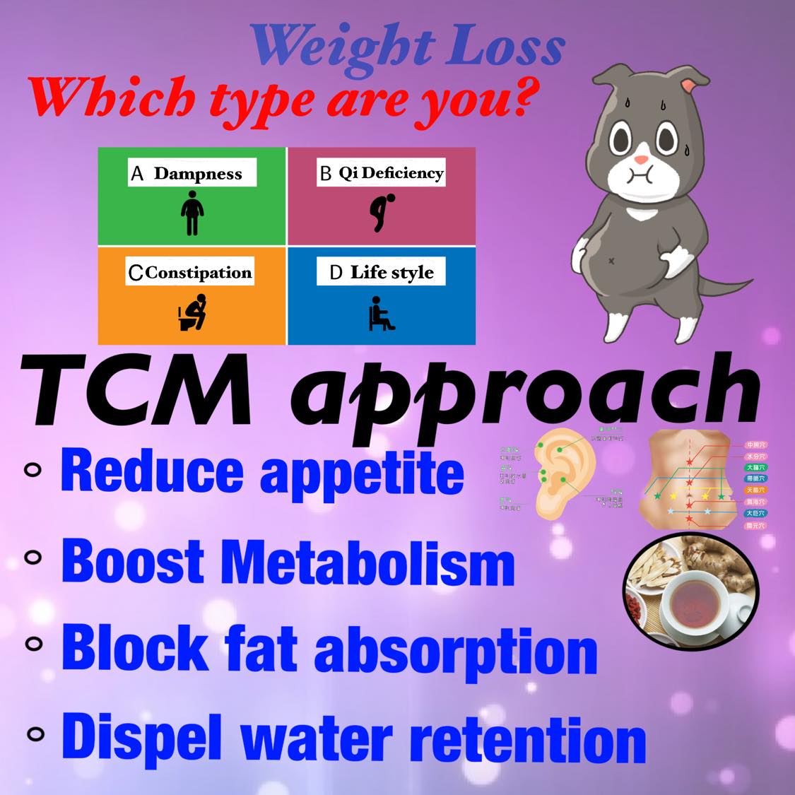 Weight Management Dr Mia's Oriental Medicine