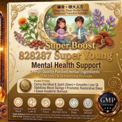 828287 Super Young - Mental Health Support